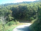 IMG_20220826_112308.jpg