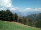 IMG_20220826_122543.jpg