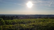 20220828_074504.jpg