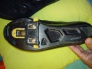 IMG_20220829_080456.jpg