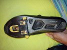 IMG_20220829_080505.jpg