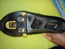 IMG_20220829_080511.jpg