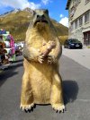 IMG_20220828_125152.jpg