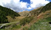 IMG_20220828_154556_P.jpg