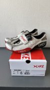 Lake CX401