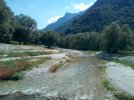 IMG_20220904_133918.jpg