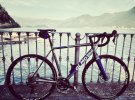 OLMO.JPG
