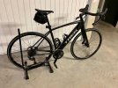 DOMANE+ ALR 1.jpg
