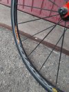 20220908_182634.jpg