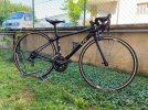 Bici da corsa LIV