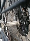 IMG_20220909_165517.jpg