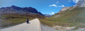 albula1.jpg albula1.jpg