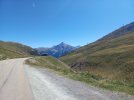 albula2.jpg albula2.jpg
