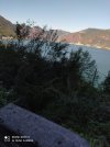 IMG_20220911_104513.jpg