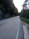 IMG_20220911_172639.jpg