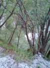 IMG_20220911_173113.jpg