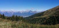 IMG_20220911_104513.jpg