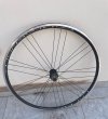 Ruota posteriore Campagnolo Calima