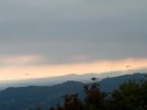 IMG_20221002_163738.jpg
