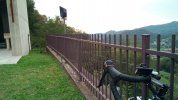 IMG-20221002-WA0009.jpeg