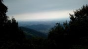 IMG-20221002-WA0019.jpeg