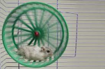 1664891606517.png 1664891606517.png