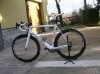 immagine022b.jpg