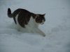 DSCN0150.jpg