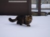 DSCN0170.jpg