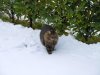DSCN0172.jpg