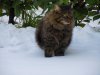 DSCN0173.jpg