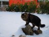 DSCN0176.jpg