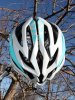 bontrager_oracle_top_600.jpg