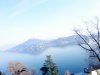 DSC00356.jpg