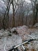 29012011288.jpg