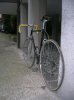 DSCN4145.jpg