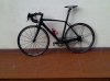 IMG-20110113-00010.jpg