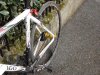 DSC01492.JPG
