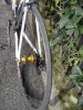 DSC01493.JPG