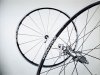 mozzo7850.jpg