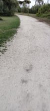 IMG_20221009_181751.jpg