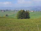 20221016_123758.jpg
