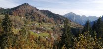 IMG_20221023_110635.jpg
