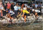 Gitane LF.jpg Gitane LF.jpg