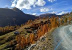 IMG_20221031_122651.jpg
