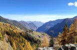 IMG_20221031_123423.jpg