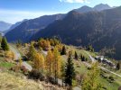 IMG_20221031_123918.jpg