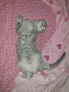 IMG-20200821-WA0056.jpg