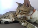IMG-20170807-WA0021.jpg