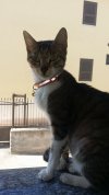 IMG-20171012-WA0026.jpeg